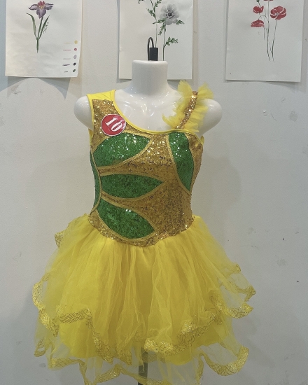 Đầm bồng 10 - SL 