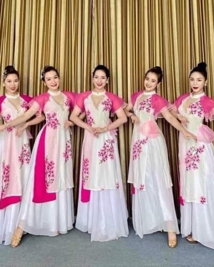 Áo dài hồng tay ngắn 